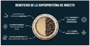 Recursos visuais para o Conteúdo Amazon A+