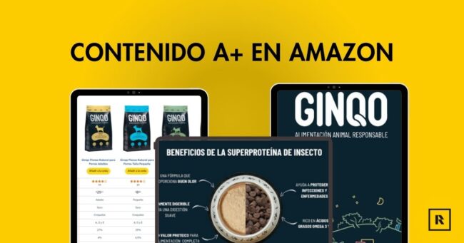 Amazon Contenido A+